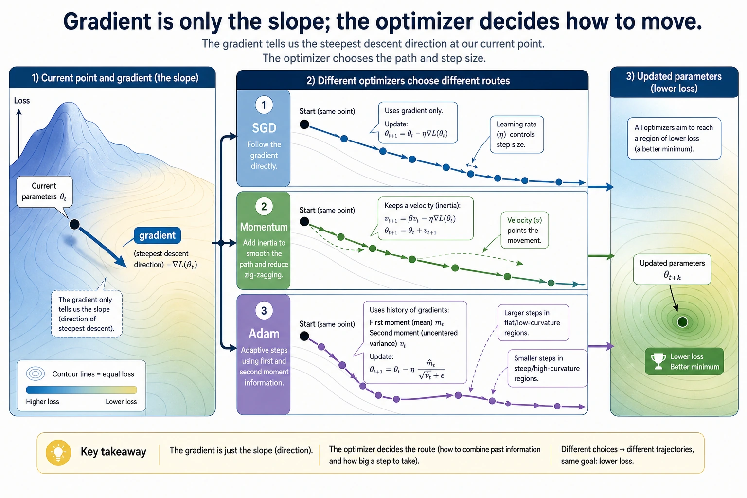 Optimizer decision map from gradients to parameter updates