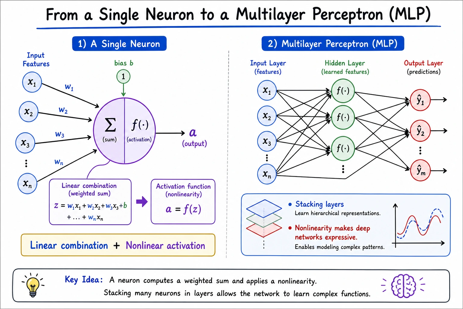 Diagram from neurons to MLP