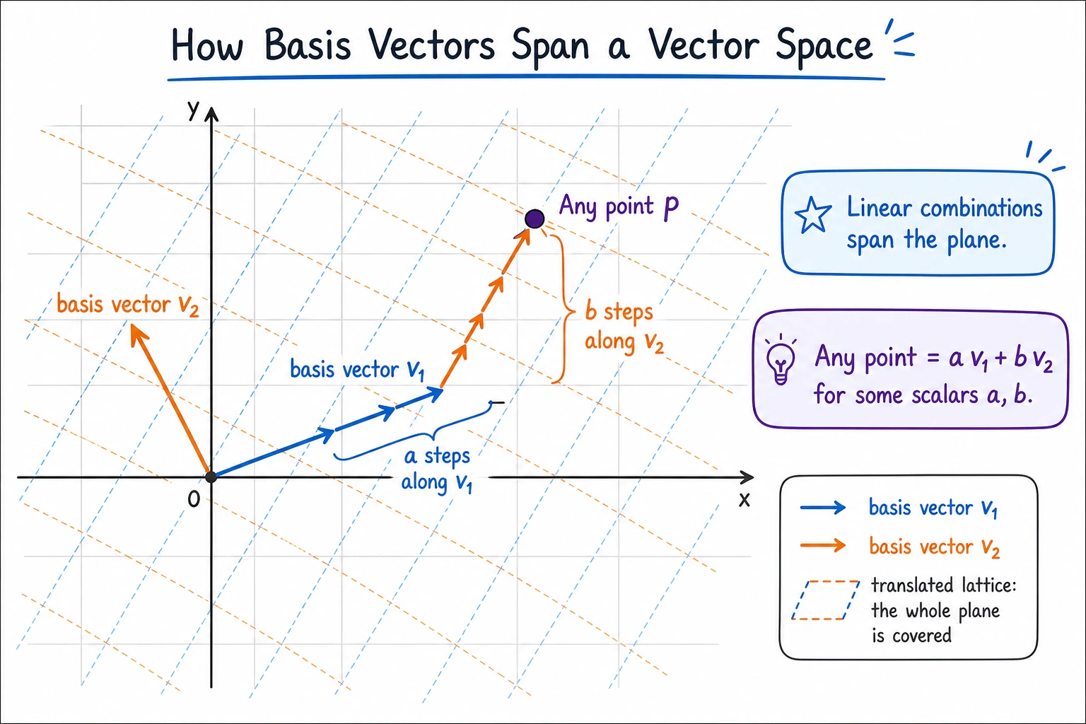 Schematic of vector space basis vectors spanning a space