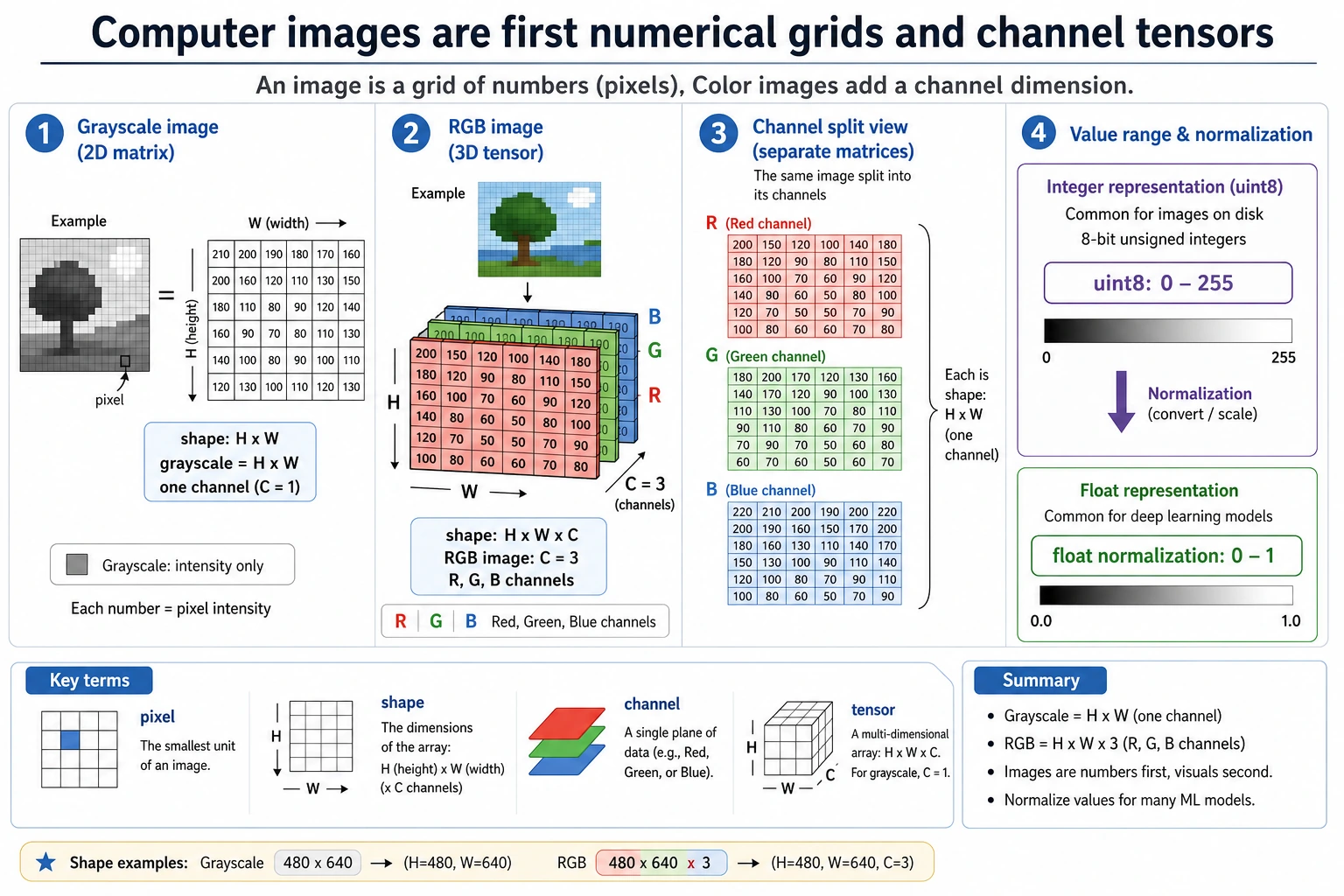 Image array shape and channel semantics diagram