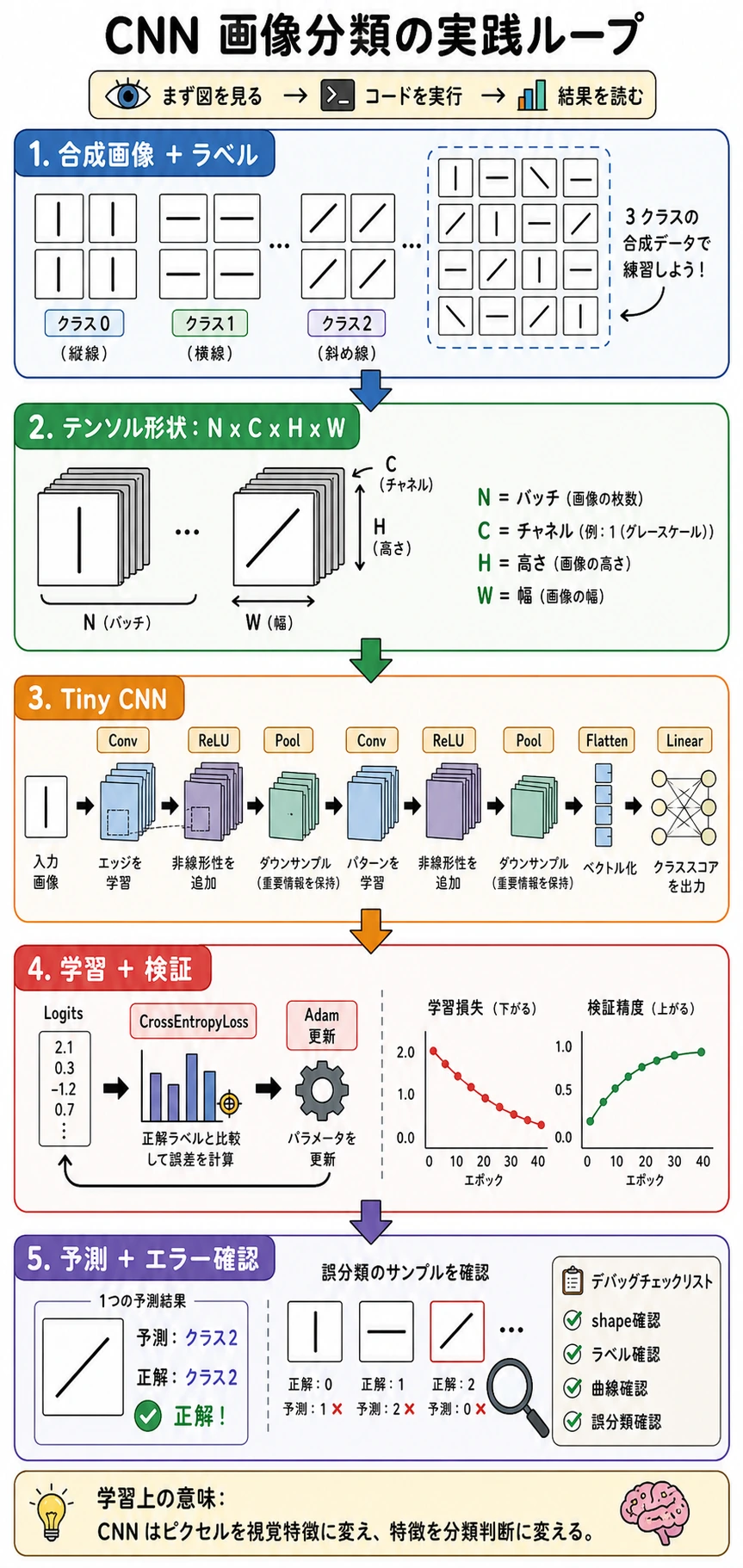 CNN 画像分類の実践ループ