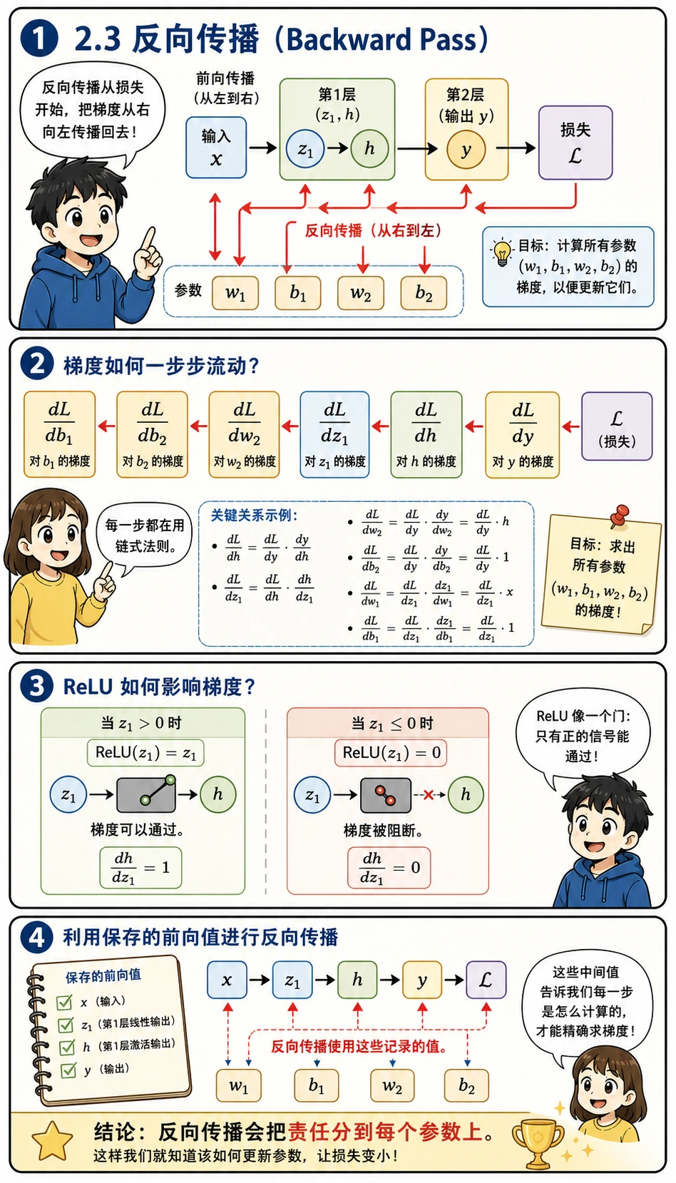 反向传播把梯度从损失传回参数