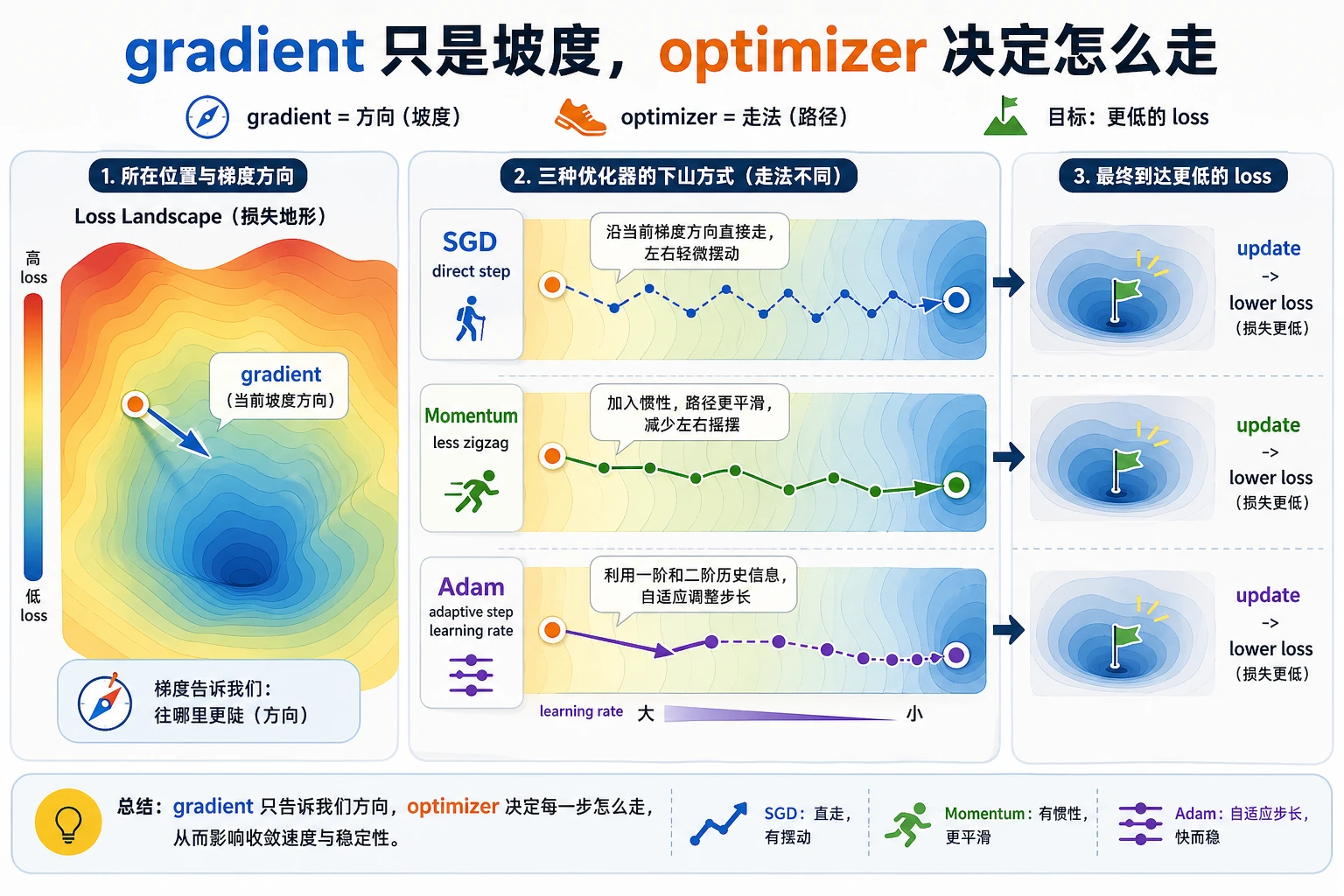 梯度到参数更新的优化器决策图
