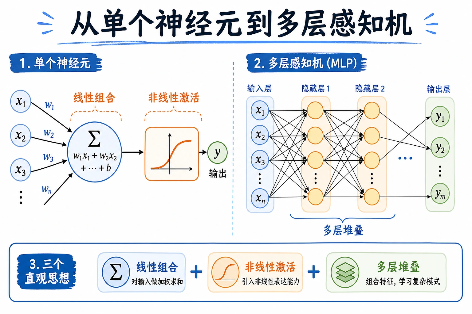 神经元到 MLP 结构图